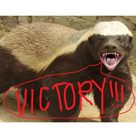 Honey Badgers In This Pitch